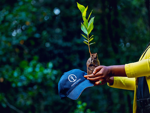 KN hat and planting a tree